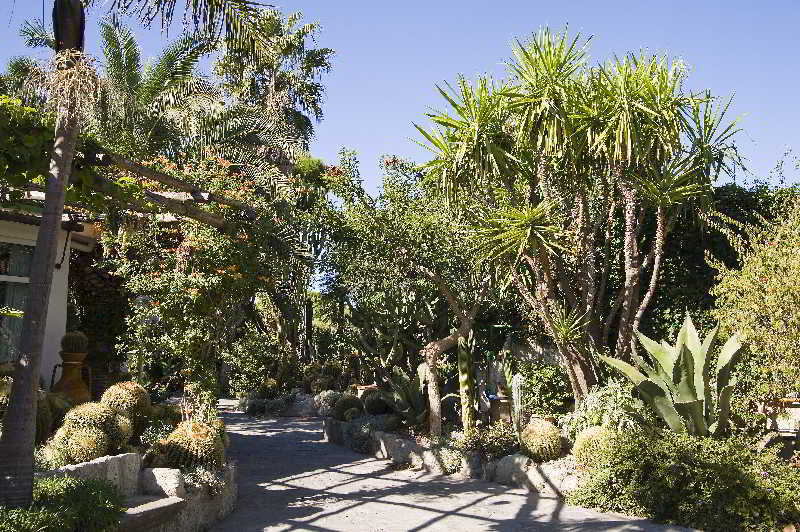 Park Hotel Terme Mediterraneo Forio di Ischia Exteriör bild